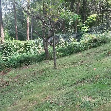 Villa Casa Ronit Delebio Esterno foto