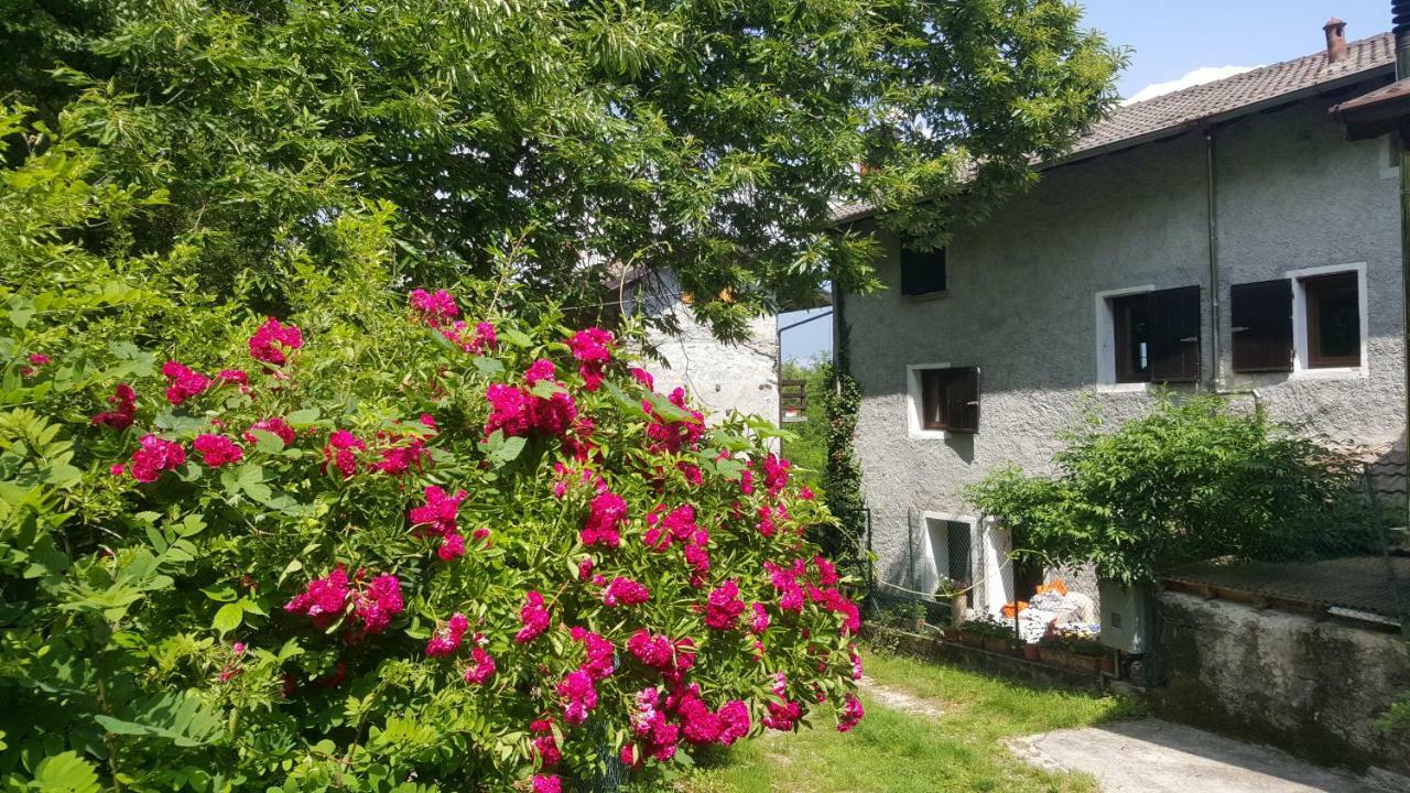 Villa Casa Ronit Delebio Esterno foto